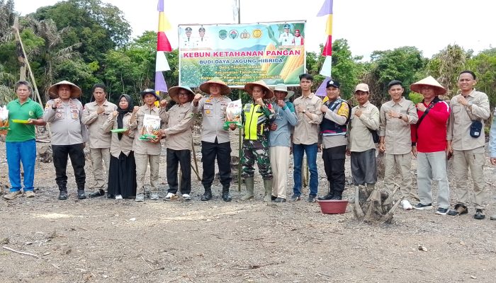Dalam Rangka Menunjang Ketahanan Pangan Nasional Pemerintah Desa Tanjung Dalam Gelar Acara Tanam Jagung