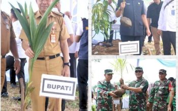 Penanaman Pohon  Kelapa Serentak  Untuk Kesejahteraan  Masyarakat, Bupati Lampung Utara  Diwakili Asisten II  Ikuti Secara Virtual