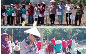 Dalam Raka Menunjang Perekonomian Masyarakat, Pemdes Tanah Abang Jaya  Gelar Tanam Jagung