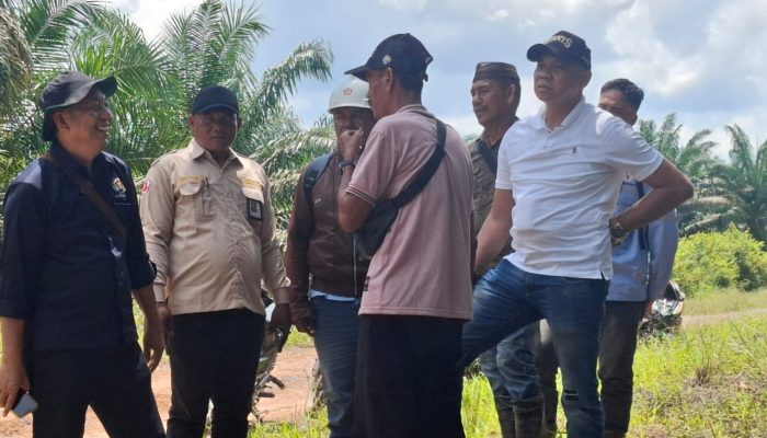 Berdasarkan Putusan Inkrah Pengadilan Sekayu, Aidin Bin Zainudin Kuasai Lahan Sawit dari PT.Pinago Utama