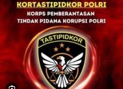 TAPD Sumsel Diduga Lakukan Beberapa Kesalahan Proses Anggaran