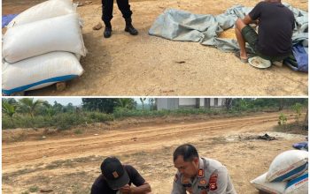 Dalam Rangka Mendukung Program ketahanan Pangan Nasional,  Polres PALI Monitoring Ketahanan Pangan Jagung di Desa Benakat Minyak