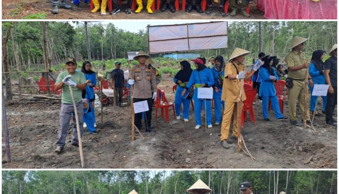Polres PALI Dukung Program Ketahanan Pangan Nasional, Laksanakan Penanaman Jagung di Desa Tempirai Selatan
