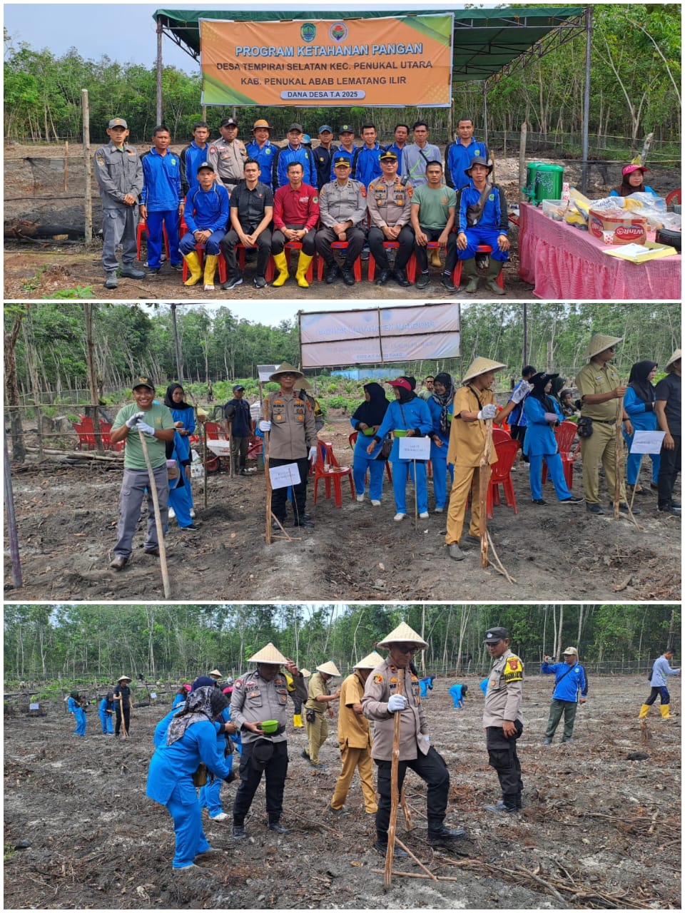Polres PALI Dukung Program Ketahanan Pangan Nasional, Laksanakan Penanaman Jagung di Desa Tempirai Selatan