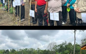 Penanaman Jagung Perdana di Desa Harapan Jaya, Program Pangan Nasional Didukung Penuh Polri