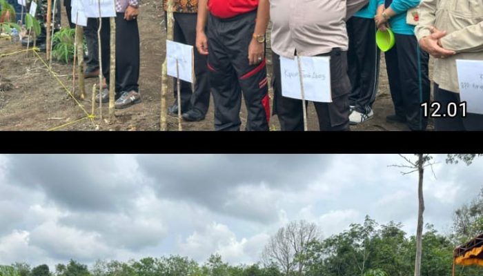 Penanaman Jagung Perdana di Desa Harapan Jaya, Program Pangan Nasional Didukung Penuh Polri