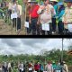 Penanaman Jagung Perdana di Desa Harapan Jaya, Program Pangan Nasional Didukung Penuh Polri