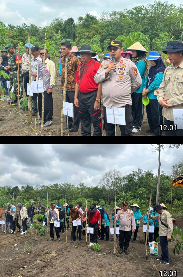 Penanaman Jagung Perdana di Desa Harapan Jaya, Program Pangan Nasional Didukung Penuh Polri
