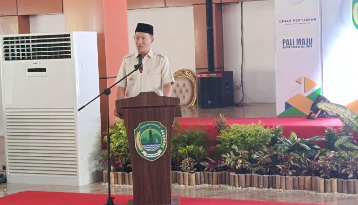 Bupati PALI Asgianto Kokohkan Komitmen untuk Rakyat Lewat Program Tani Merdeka