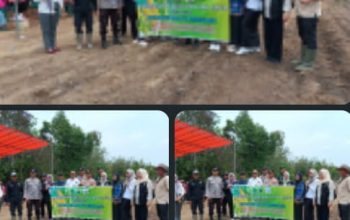 Dorong Ketahanan Pangan, Desa Air Itam Timur Mulai Tanam Jagung di Lahan Satu Hektar