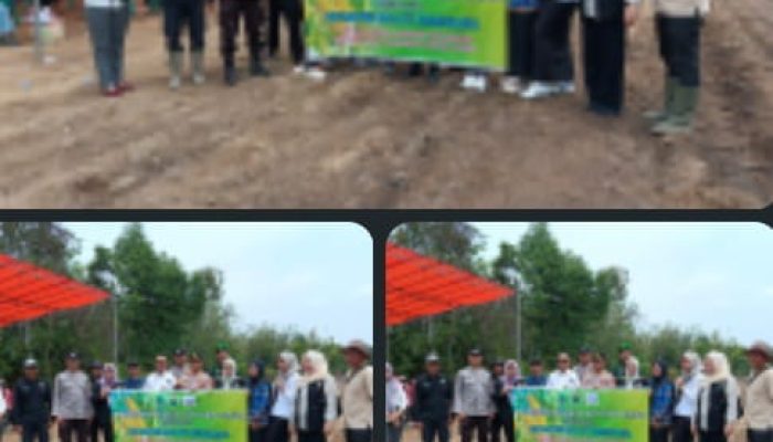 Dorong Ketahanan Pangan, Desa Air Itam Timur Mulai Tanam Jagung di Lahan Satu Hektar
