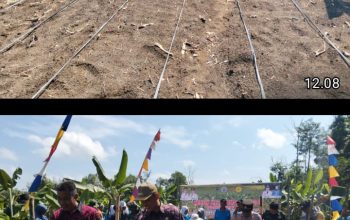Penanaman Jagung Perdana di Desa Raja Barat, Kapolsek Tanah Abang Tegaskan Komitmen Kawal Program Ketahanan Pangan