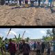 Penanaman Jagung Perdana di Desa Raja Barat, Kapolsek Tanah Abang Tegaskan Komitmen Kawal Program Ketahanan Pangan