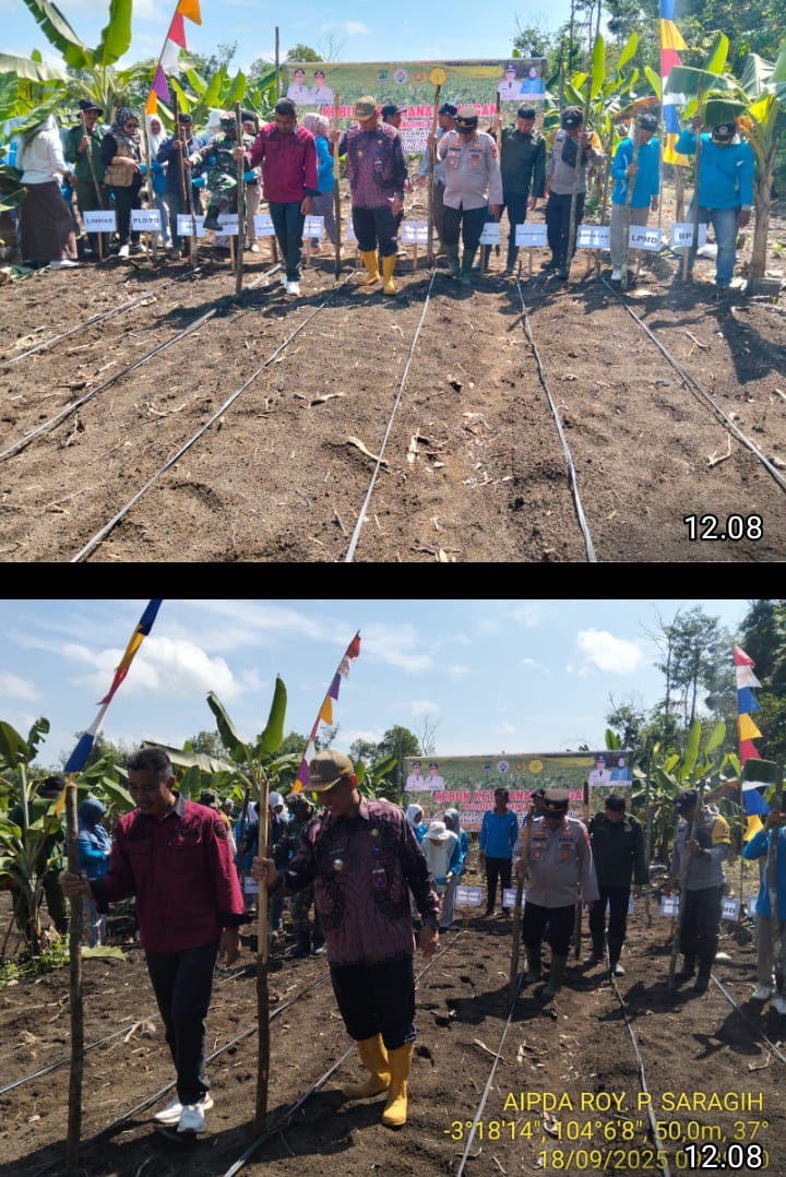 Penanaman Jagung Perdana di Desa Raja Barat, Kapolsek Tanah Abang Tegaskan Komitmen Kawal Program Ketahanan Pangan