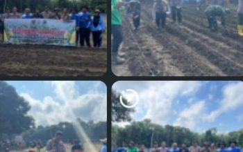 POLSEK TALANG UBI DUKUNG PROGRAM KETAHANAN PANGAN MELALUI PENANAMAN JAGUNG DI DESA PANTADEWA