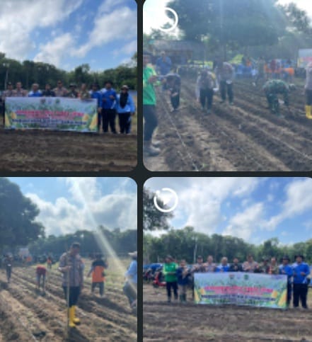 POLSEK TALANG UBI DUKUNG PROGRAM KETAHANAN PANGAN MELALUI PENANAMAN JAGUNG DI DESA PANTADEWA
