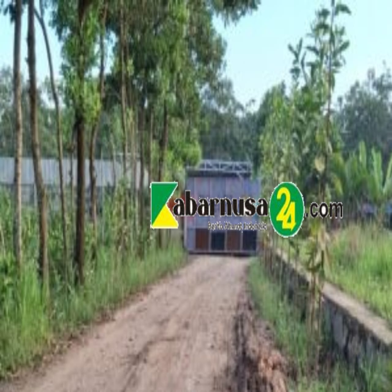Gudang Minyak Ilegal di Payakabung Diduga Milik Erwin dan Baron terus Beroperasi, Siapa Bekingnya,?