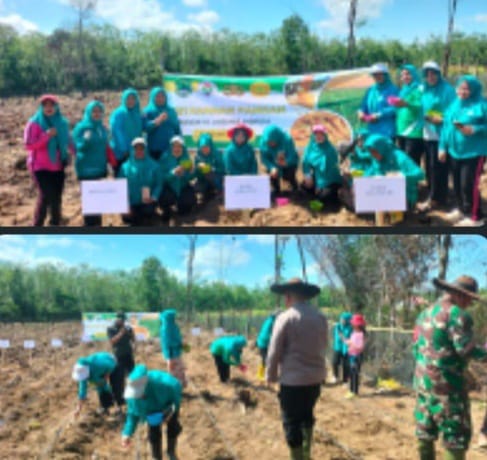 Polsek Talang Ubi  Hadiri Penanaman Jagung Program Ketahanan Pangan 2025 di Desa Talang Bulang PALI