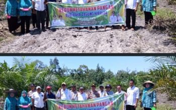 Polsek Penukal Utara Bersama Pemerintah Desa Laksanakan Penanaman Jagung di Desa Lubuk Tampui