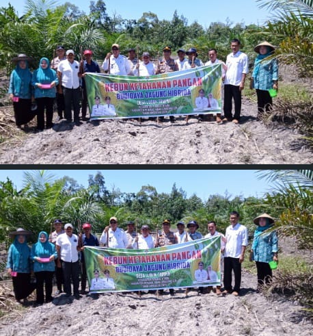 Polsek Penukal Utara Bersama Pemerintah Desa Laksanakan Penanaman Jagung di Desa Lubuk Tampui