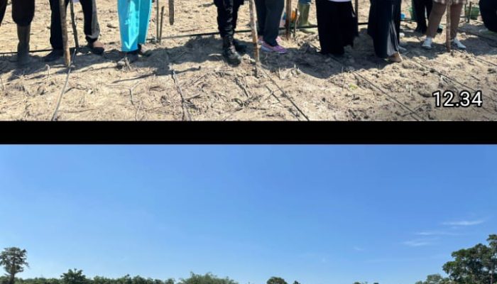 Penanaman Jagung di Desa Tanah Abang Jaya, Wujud Nyata Program Ketahanan Pangan di Kabupaten PALI