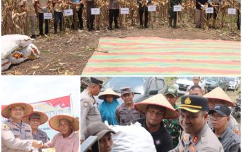 Panen Raya Jagung Serentak Kuartal III, Polres PALI Dukung Ketahanan Pangan Nasional