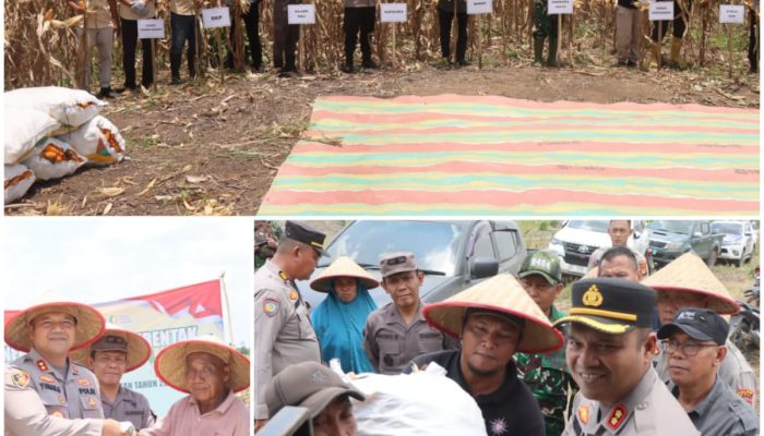 Panen Raya Jagung Serentak Kuartal III, Polres PALI Dukung Ketahanan Pangan Nasional