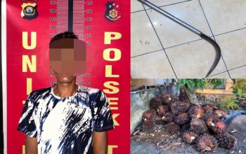 Polsek Talang Ubi Ungkap Kasus Pencurian Sawit, Satu Pelaku Diamankan