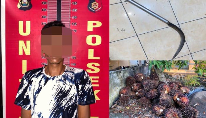 Polsek Talang Ubi Ungkap Kasus Pencurian Sawit, Satu Pelaku Diamankan