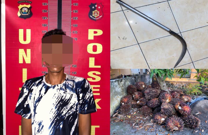 Polsek Talang Ubi Ungkap Kasus Pencurian Sawit, Satu Pelaku Diamankan
