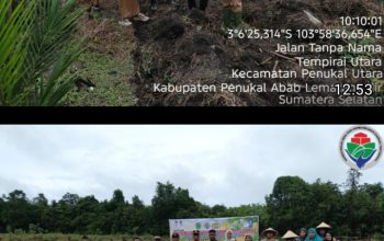 Penanaman Jagung di Desa Tempirai Timur, Polsek Penukal Utara Dorong Ketahanan Pangan