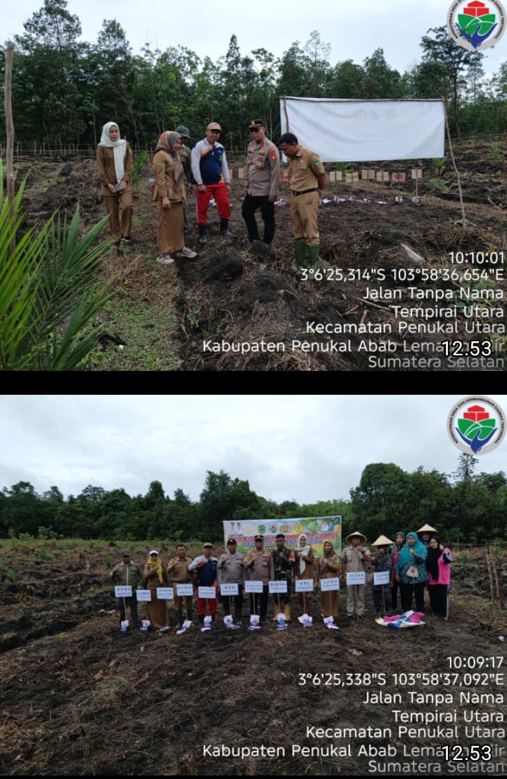 Penanaman Jagung di Desa Tempirai Timur, Polsek Penukal Utara Dorong Ketahanan Pangan