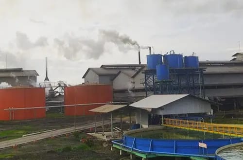 Mutasi Pekerja Besar-Besaran PT Golden Blossom (GBS), 10 Pekerja Pabrik di Mutasi Jadi Tukang Muat Buah Sawit