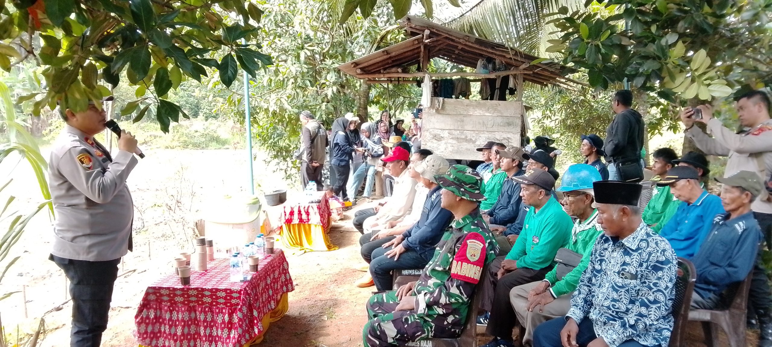 Pemdes Raja Gelar Kegiatan Tanam Jagung Dalam Rangka Menunjang Perekonomian Masyarakat