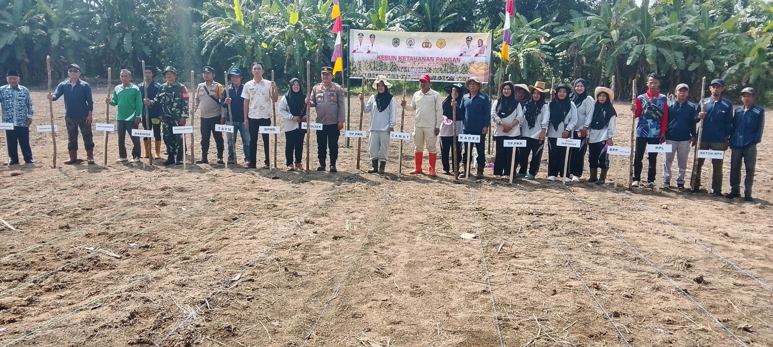 Pemdes Raja Gelar Kegiatan Tanam Jagung Dalam Rangka Menunjang Perekonomian Masyarakat
