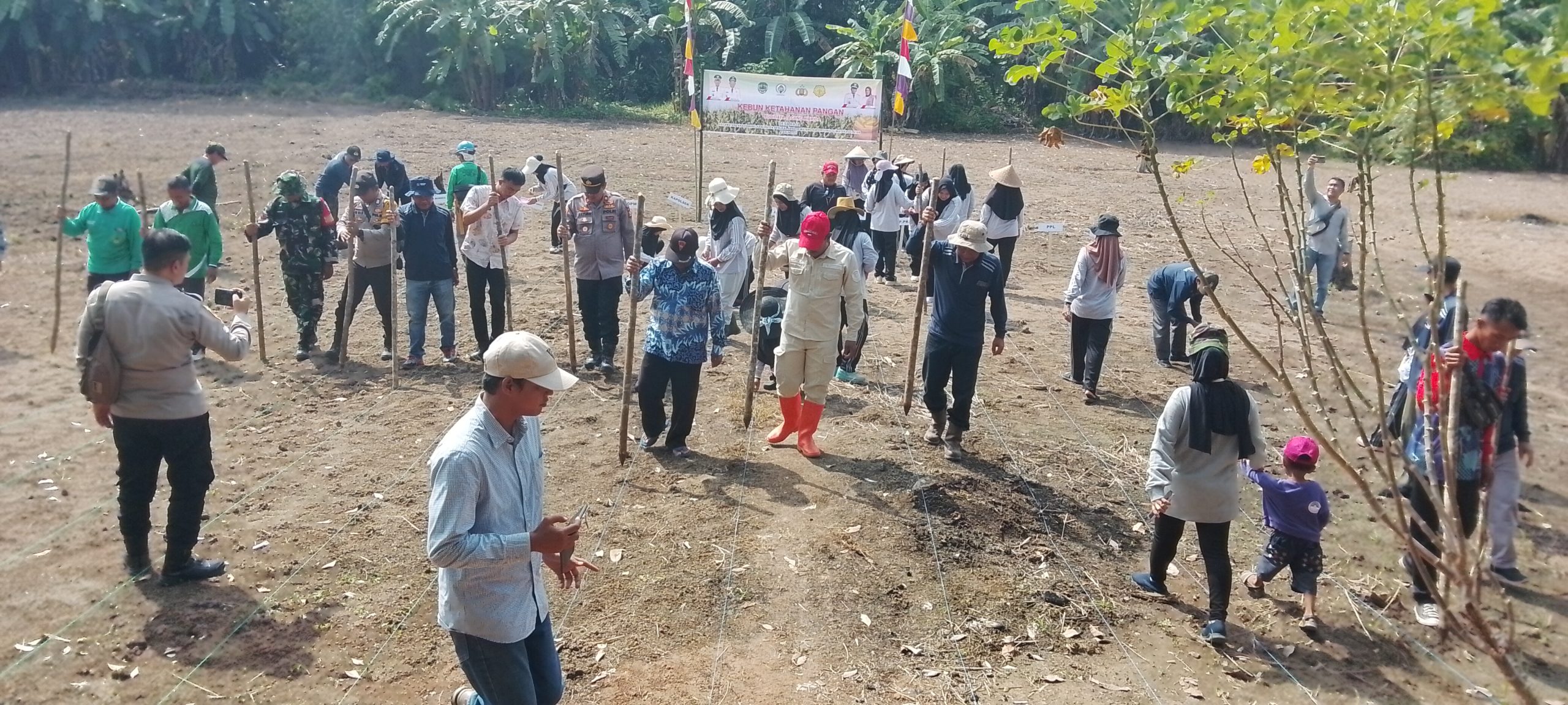 Pemdes Raja Gelar Kegiatan Tanam Jagung Dalam Rangka Menunjang Perekonomian Masyarakat