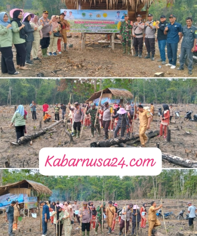 Polsek Tanah Abang Dukung Penanaman Jagung di Desa Sukamanis, Kapolres PALI Tekankan Transparansi Dana Desa