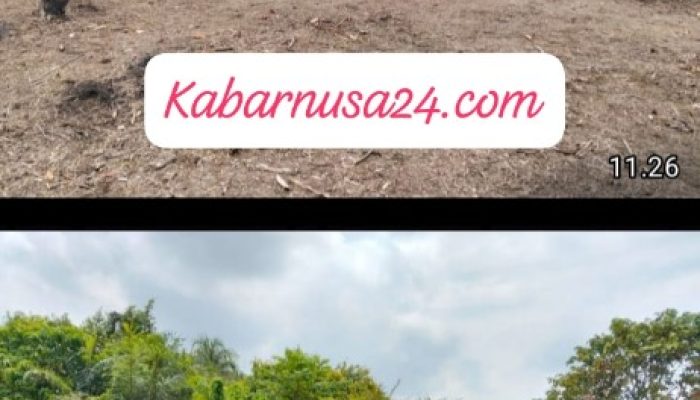 Penanaman Jagung di Desa Modong, Kapolres PALI Dorong Optimalisasi Program Ketahanan Pangan