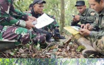 Penampakan Macan Tutul Jawa Tertangkap Kamera Perangkap Tim Ekspedisi dari TNI di Gunung Sanggabuana Karawang