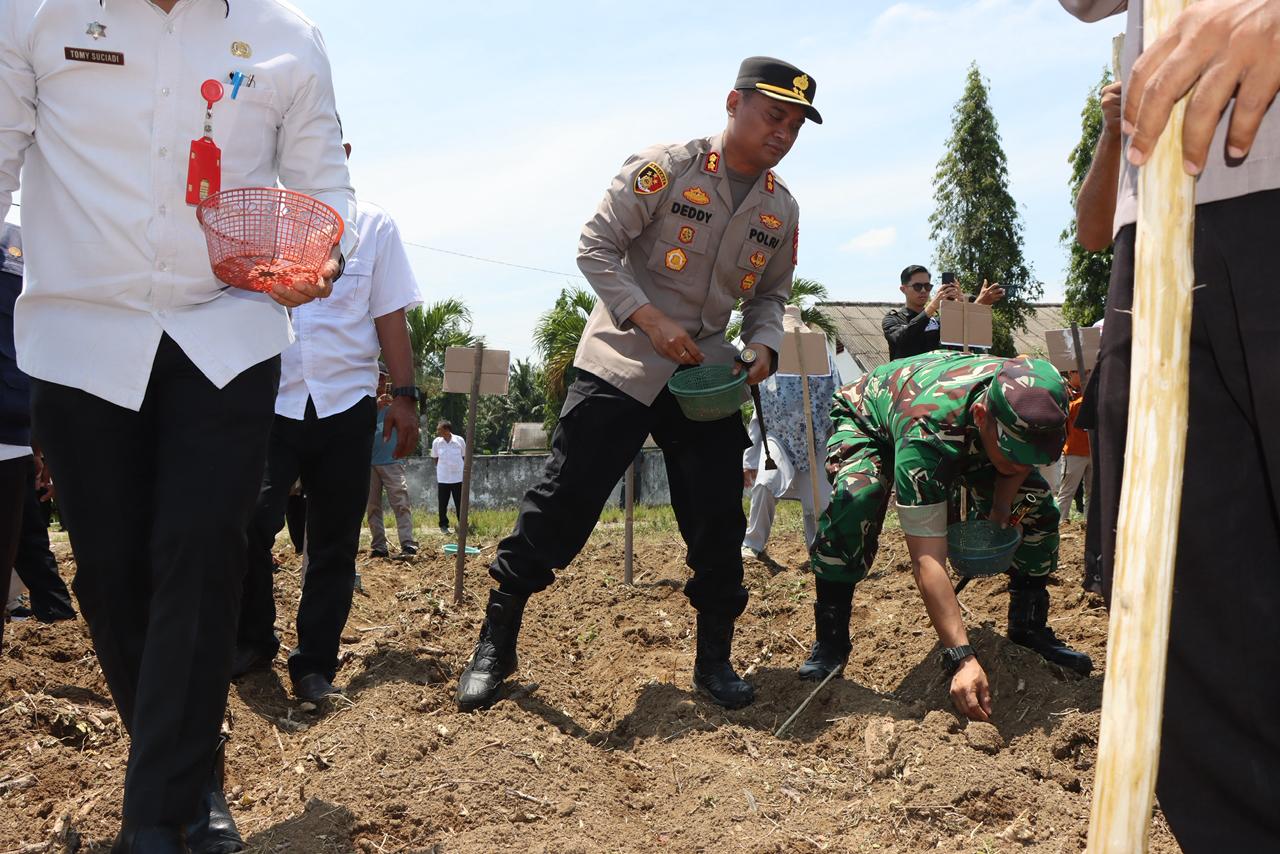 Dukung Swasembada pangan, Polres lampung utara Gelar Penanaman Jagung Serentak Kuartal IV