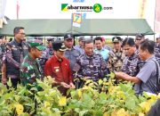 Bupati Dan Wakil Bupati Lampung Utara Dampingi Kasal Tinjau Persiapan Panen Ketahanan Pangan TNI AL Dan Rencana Kunjungan Presiden RI Bupati Dan Wakil Bupati Lampung Utara Dampingi Kasal Tinjau Persiapan Panen Ketahanan Pangan TNI AL Dan Rencana Kunjungan Presiden RI