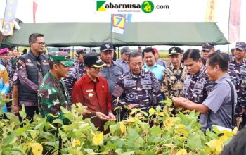 Bupati Dan Wakil Bupati  Lampung Utara Dampingi  Kasal  Tinjau Persiapan Panen Ketahanan Pangan  TNI  AL Dan Rencana Kunjungan Presiden  RI