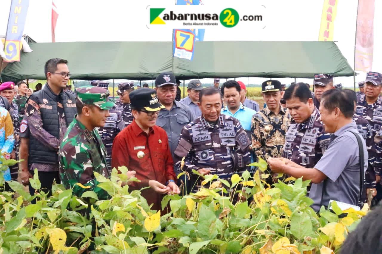 Bupati Dan Wakil Bupati Lampung Utara Dampingi Kasal Tinjau Persiapan Panen Ketahanan Pangan TNI AL Dan Rencana Kunjungan Presiden RI
