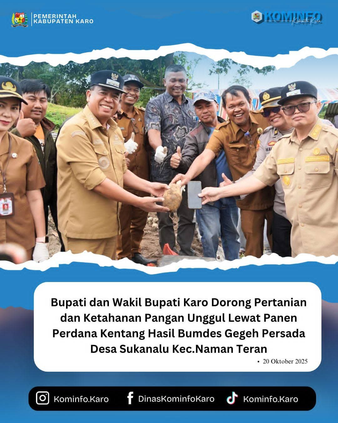 Bupati dan Wakil Bupati Karo Hadiri Panen Perdana Kentang Hasil Bumdes Gegeh Persada Desa Sukanalu