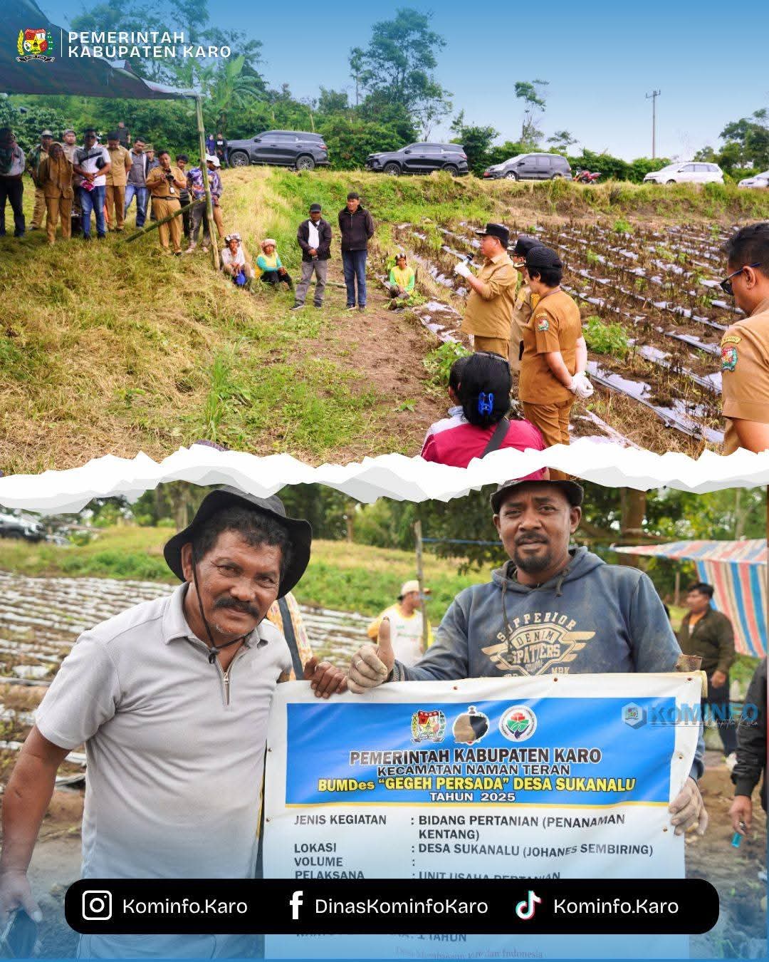 Bupati dan Wakil Bupati Karo Hadiri Panen Perdana Kentang Hasil Bumdes Gegeh Persada Desa Sukanalu Bupati dan Wakil Bupati Karo Hadiri Panen Perdana Kentang Hasil Bumdes Gegeh Persada Desa Sukanalu