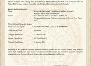 Kantongi Sertifikat Indikasi Geografis, Gedong Gincu Sah Jadi Mangga Khas Indramayu