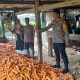 Bhabinkamtibmas Kelurahan Palleko Dampingi Panen Jagung Mandiri, Dukung Program Ketahanan Pangan Nasional