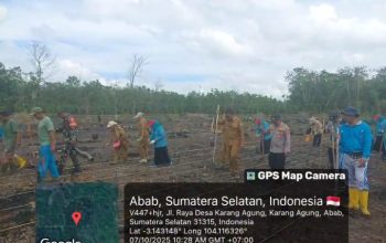 Polsek Penukal Abab Dukung Program Ketahanan Pangan Melalui Penanaman Jagung di Desa Purun