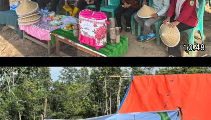 Polsek Talang Ubi Dukung Ketahanan Pangan Lewat Penanaman Jagung di Desa Beruge Darat