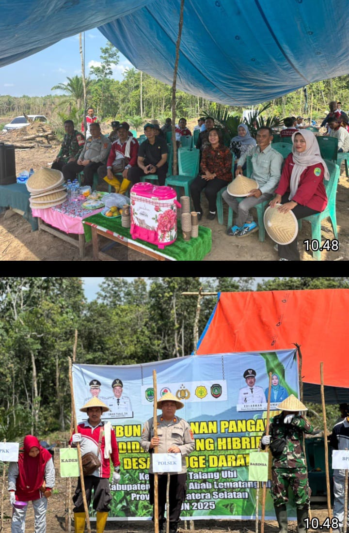 Polsek Talang Ubi Dukung Ketahanan Pangan Lewat Penanaman Jagung di Desa Beruge Darat
